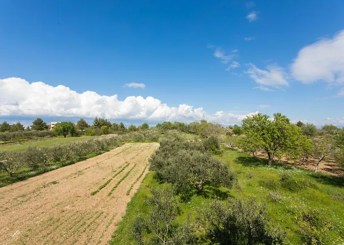 בית נופש Mg *